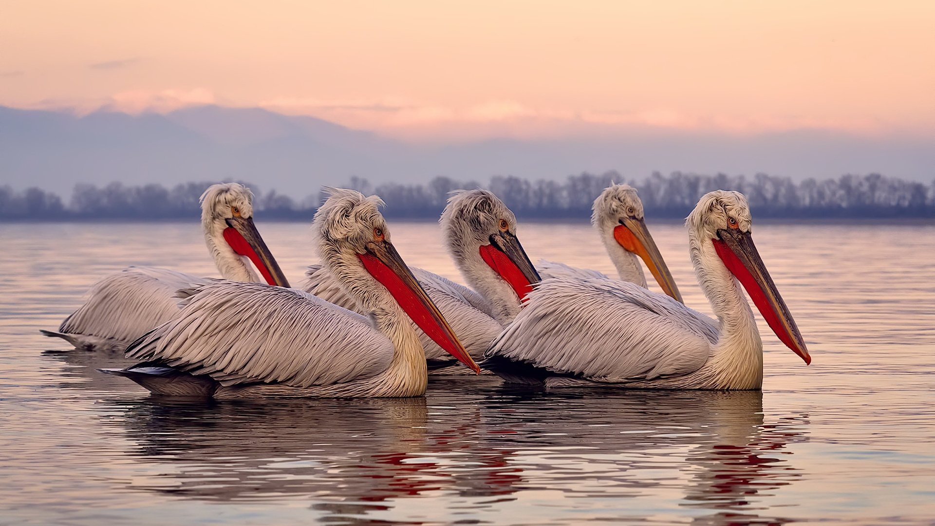 世纪爆冷！南美黑马厄瓜多尔客场掀翻利物浦，抢七奇迹震惊足坛