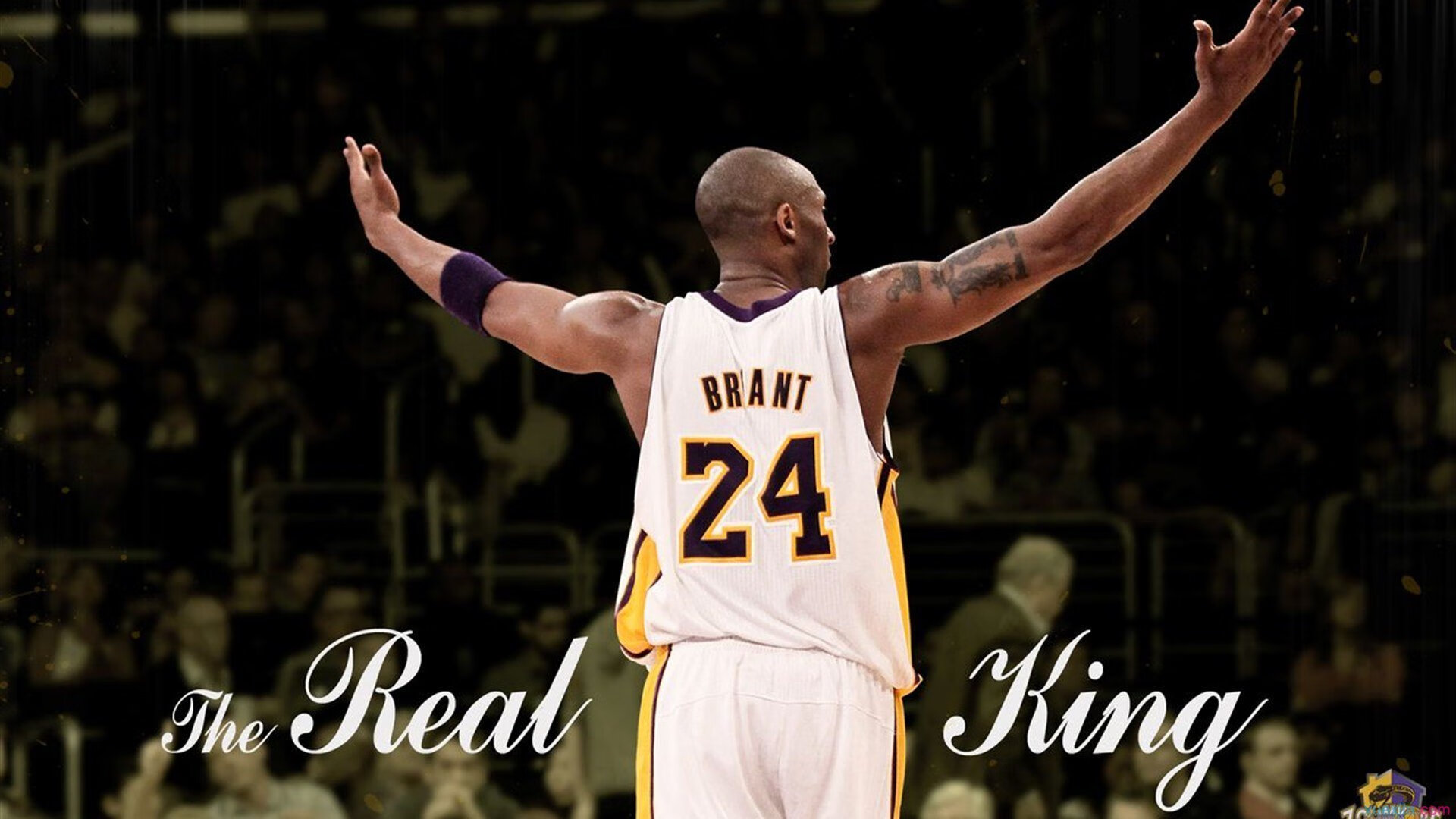 冰封者的艺术，当布克用防守的笔触，为胜利写下沉默的注脚